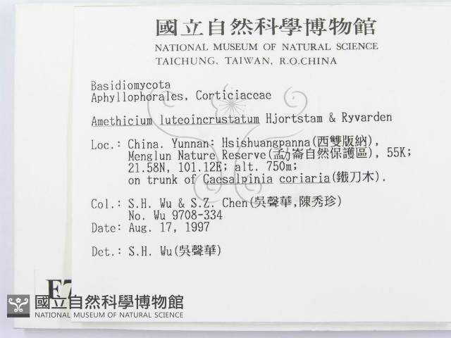 登錄號:F0007909藏品圖，第2張