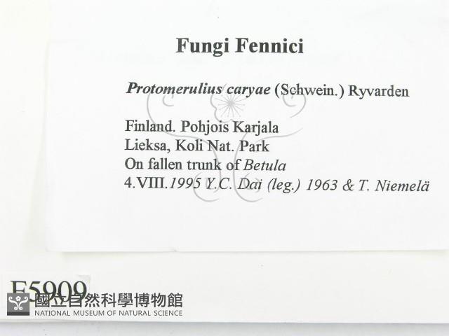 登錄號:F0005909藏品圖，第2張