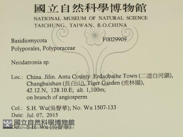 登錄號:F0029909藏品圖，第2張