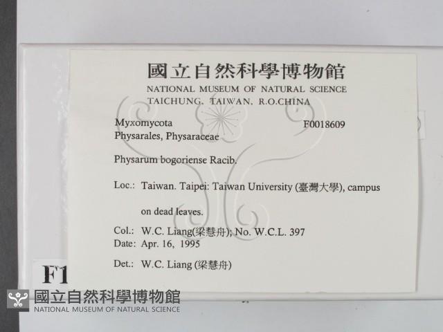 登錄號:F0018609藏品圖，第2張