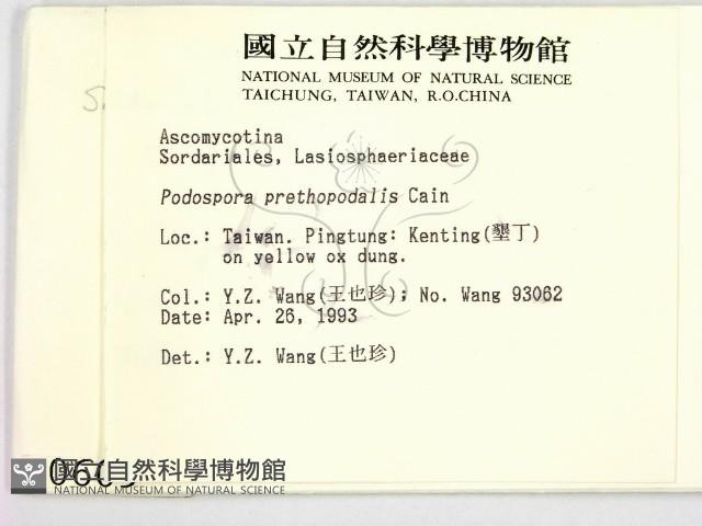 登錄號:F0000609藏品圖，第2張