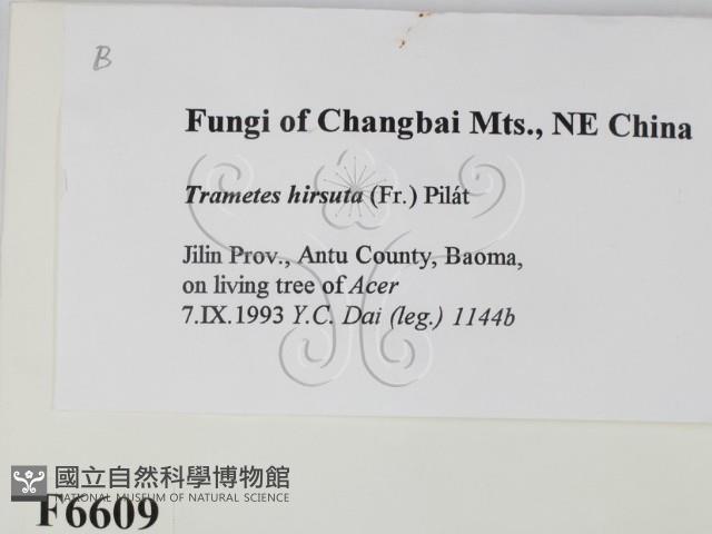 登錄號:F0006609藏品圖，第2張