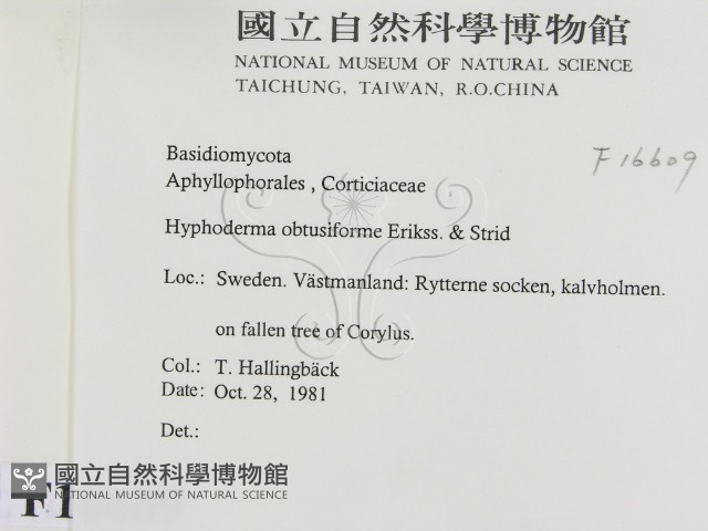 登錄號:F0016609藏品圖，第2張