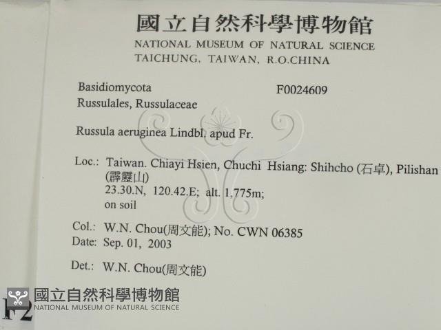 登錄號:F0024609藏品圖，第2張