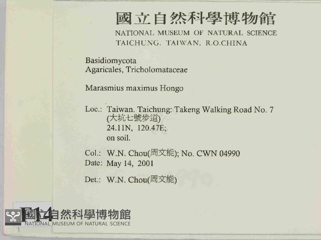 登錄號:F0014609藏品圖，第2張