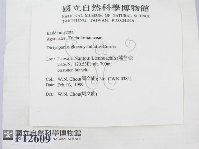 登錄號:F0012609藏品圖，第2張