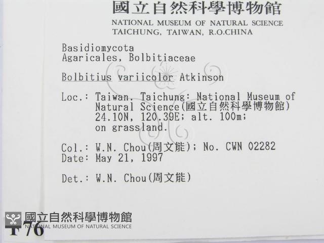 登錄號:F0007609藏品圖，第2張