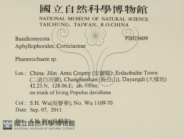 登錄號:F0025609藏品圖，第2張