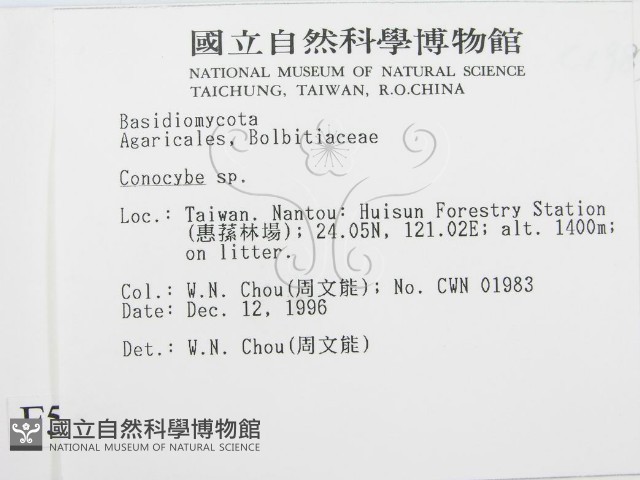 登錄號:F0005609藏品圖，第2張