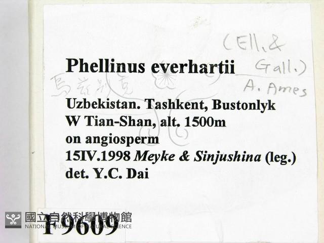 登錄號:F0009609藏品圖，第2張