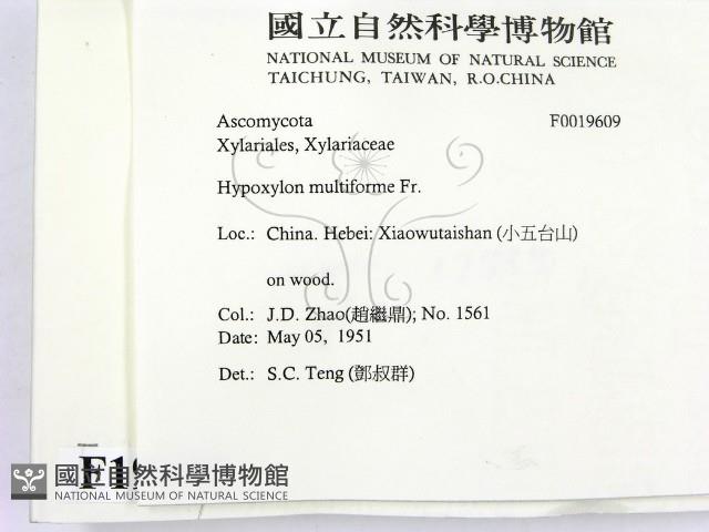登錄號:F0019609藏品圖，第2張