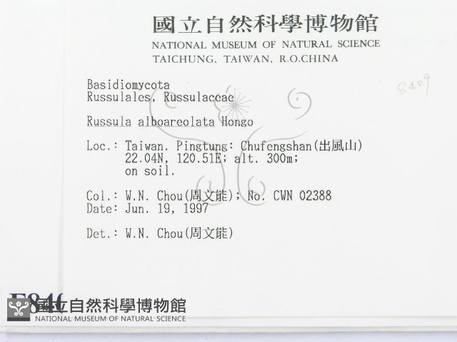 登錄號:F0008409藏品圖，第2張