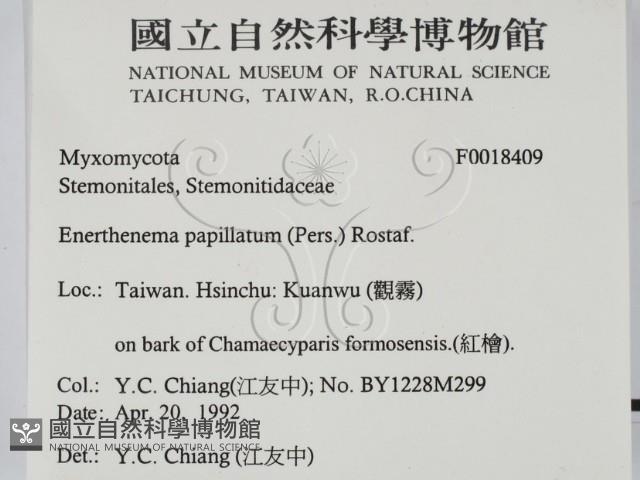 登錄號:F0018409藏品圖，第2張