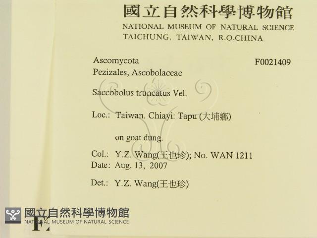 登錄號:F0021409藏品圖，第2張