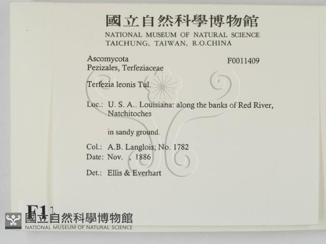 登錄號:F0011409藏品圖，第2張