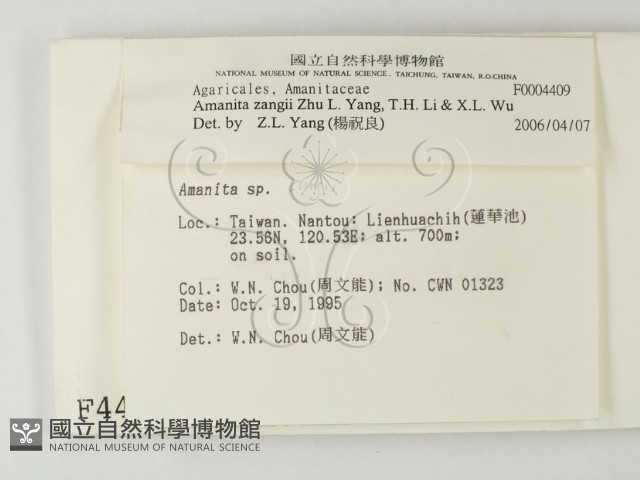 登錄號:F0004409藏品圖，第2張
