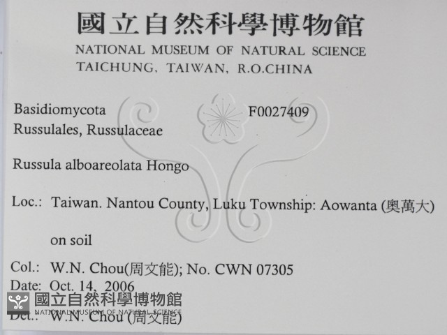 登錄號:F0027409藏品圖，第2張