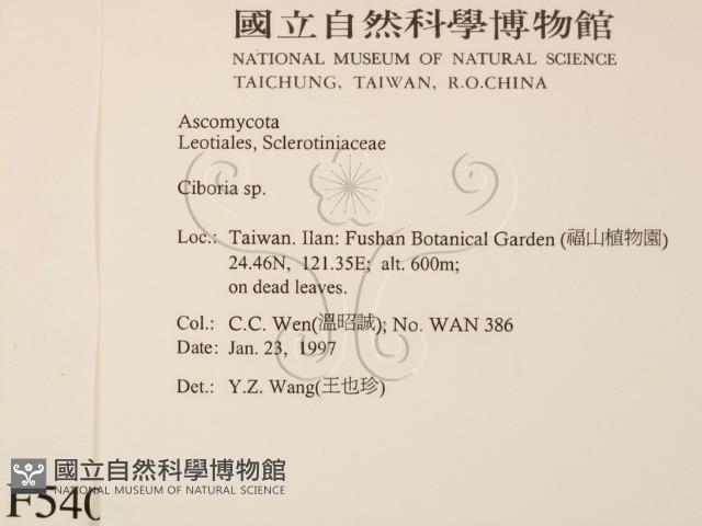 登錄號:F0005409藏品圖，第2張