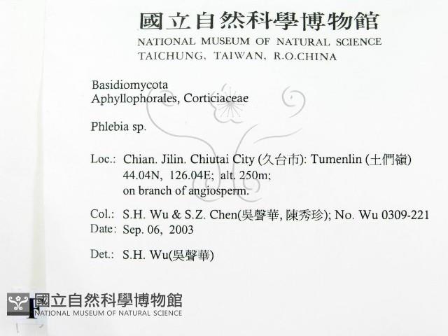 射脈菌屬藏品圖，第2張