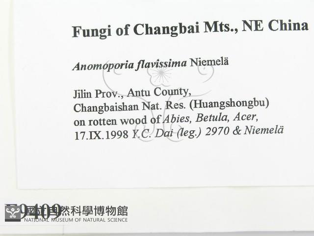 登錄號:F0009409藏品圖，第2張