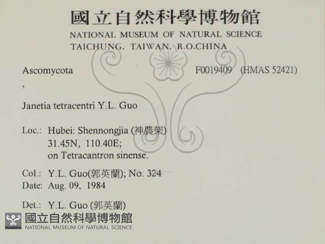 登錄號:F0019409藏品圖，第2張