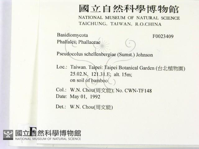 登錄號:F0023409藏品圖，第2張