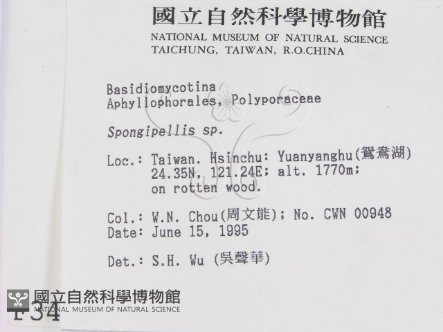 登錄號:F0003409藏品圖，第2張