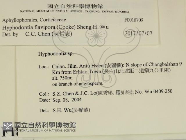 登錄號:F0018709藏品圖，第1張