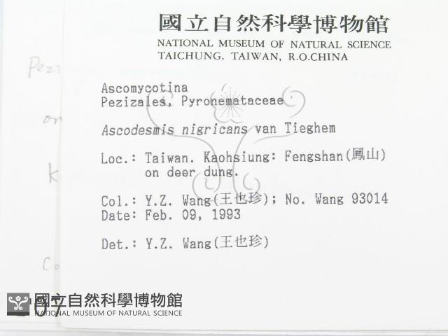 登錄號:F0000709藏品圖，第2張