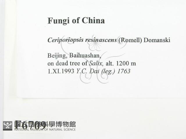 登錄號:F0006709藏品圖，第2張