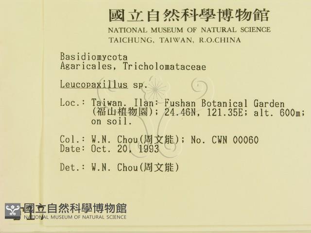 登錄號:F0001709藏品圖，第2張