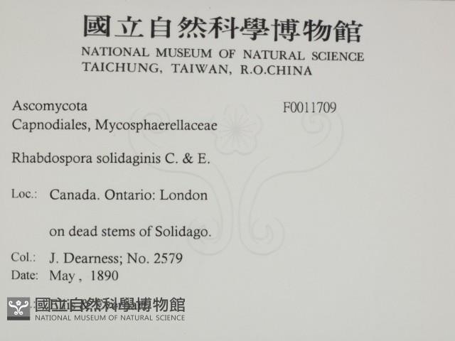 登錄號:F0011709藏品圖，第2張