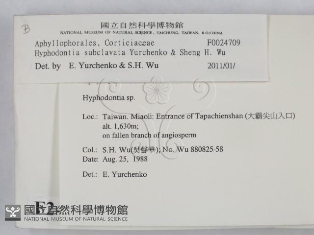 登錄號:F0024709藏品圖，第2張