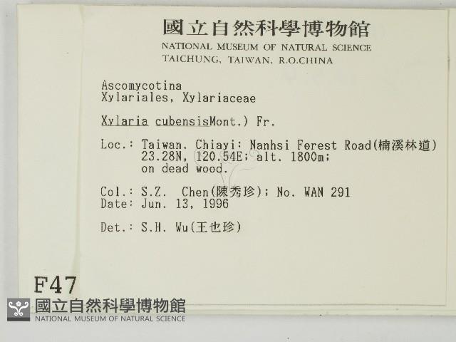 登錄號:F0004709藏品圖，第2張