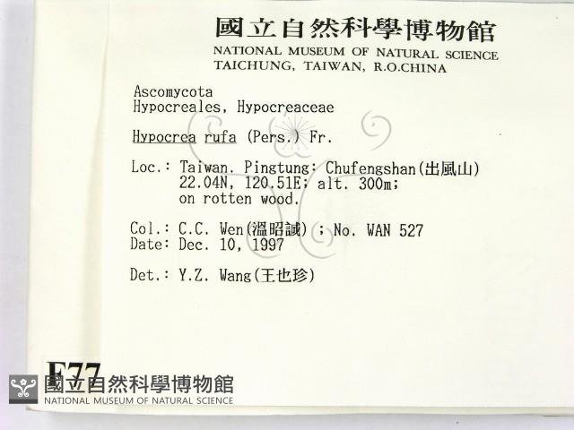 登錄號:F0007709藏品圖，第2張