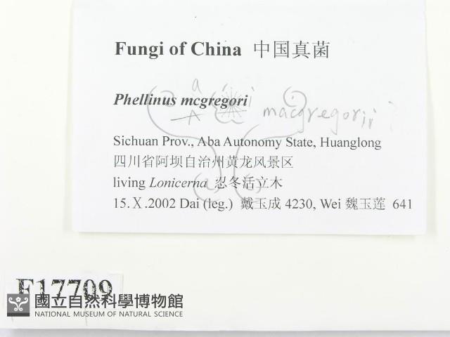 登錄號:F0017709藏品圖，第2張