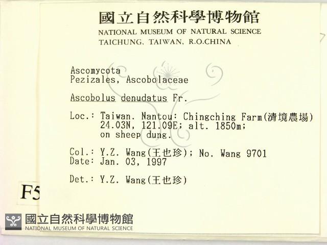 登錄號:F0005709藏品圖，第2張