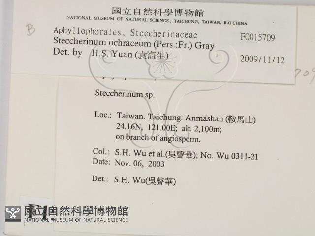登錄號:F0015709藏品圖，第2張