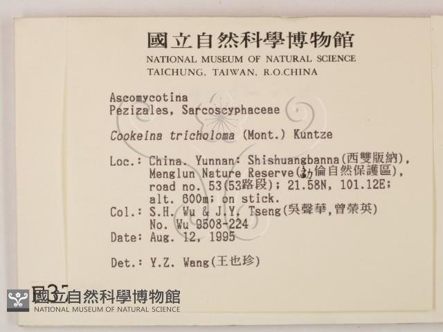 登錄號:F0003709藏品圖，第2張