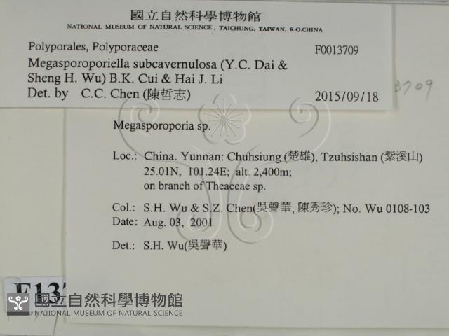 登錄號:F0013709藏品圖，第2張