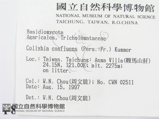 登錄號:F0008509藏品圖，第2張