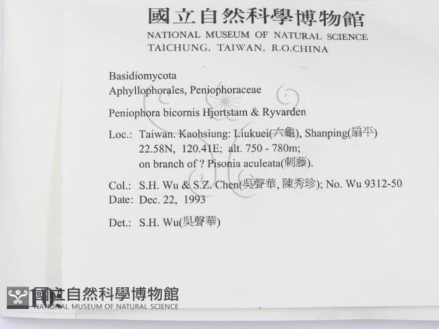登錄號:F0010509藏品圖，第2張