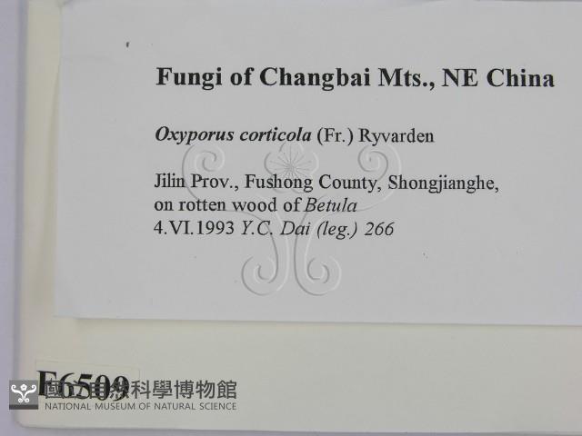 登錄號:F0006509藏品圖，第2張