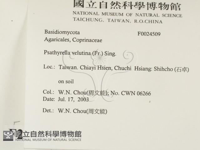 登錄號:F0024509藏品圖，第2張