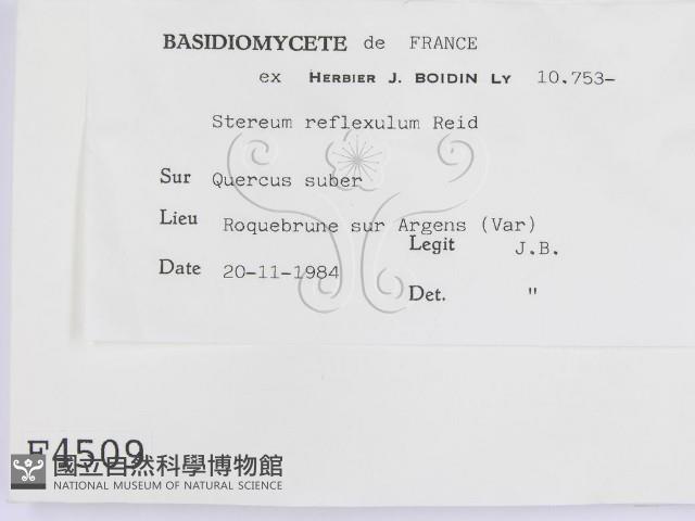 登錄號:F0004509藏品圖，第2張