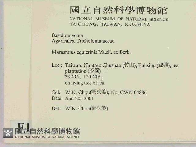 登錄號:F0014509藏品圖，第2張