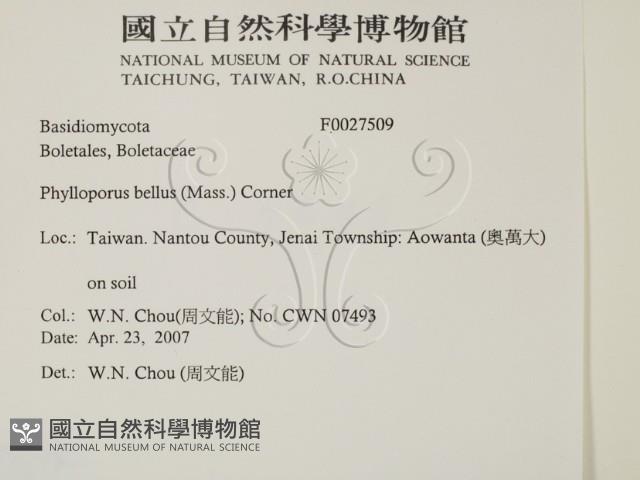 登錄號:F0027509藏品圖，第2張