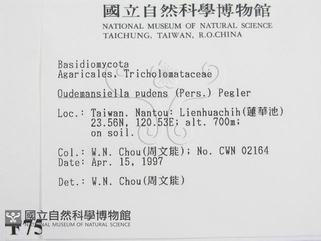 登錄號:F0007509藏品圖，第2張
