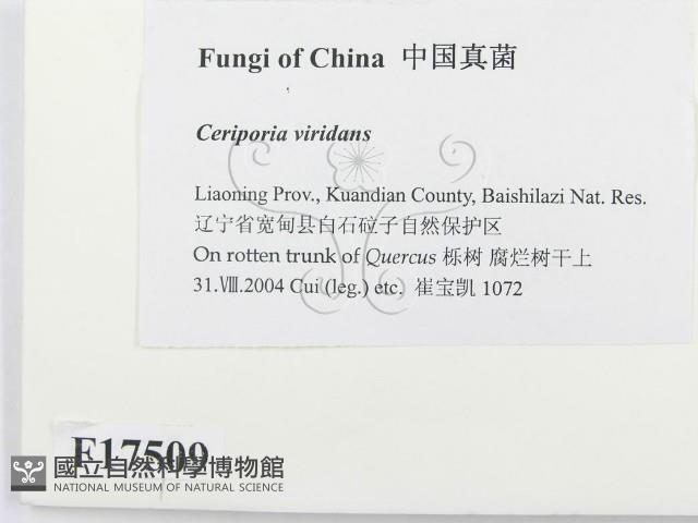 登錄號:F0017509藏品圖，第2張