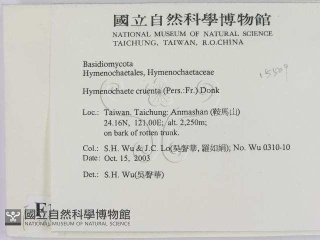 登錄號:F0015509藏品圖，第2張